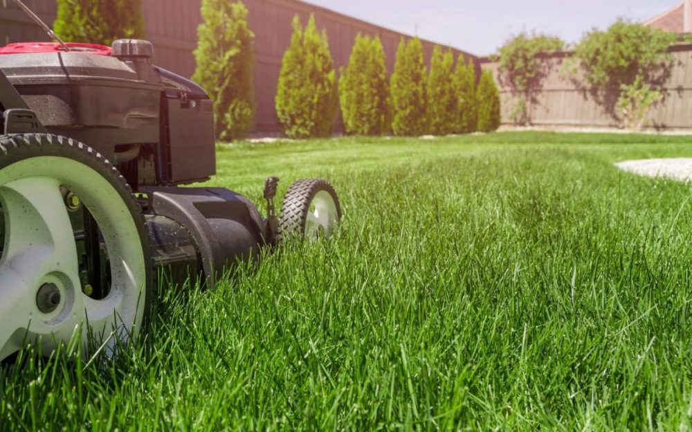 Premiumrasen ab 3,35€ pro m² - Rollrasen Kahl