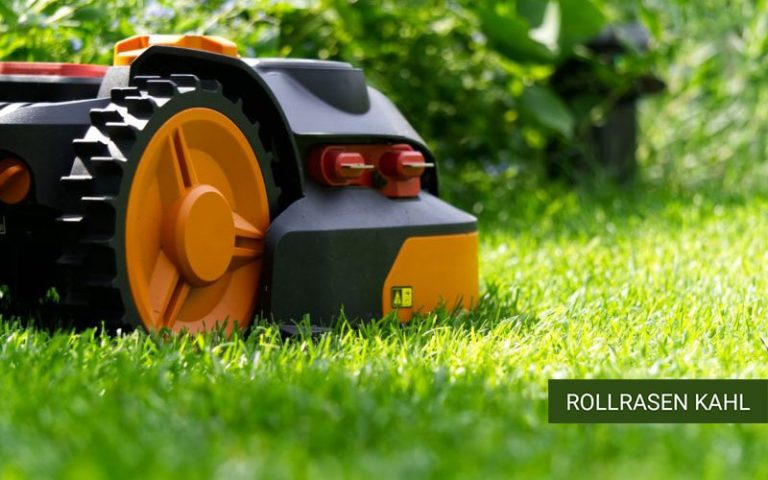 Rollrasen in der Nähe Kaufen ab 2,99€ m² + günstige Lieferung oder