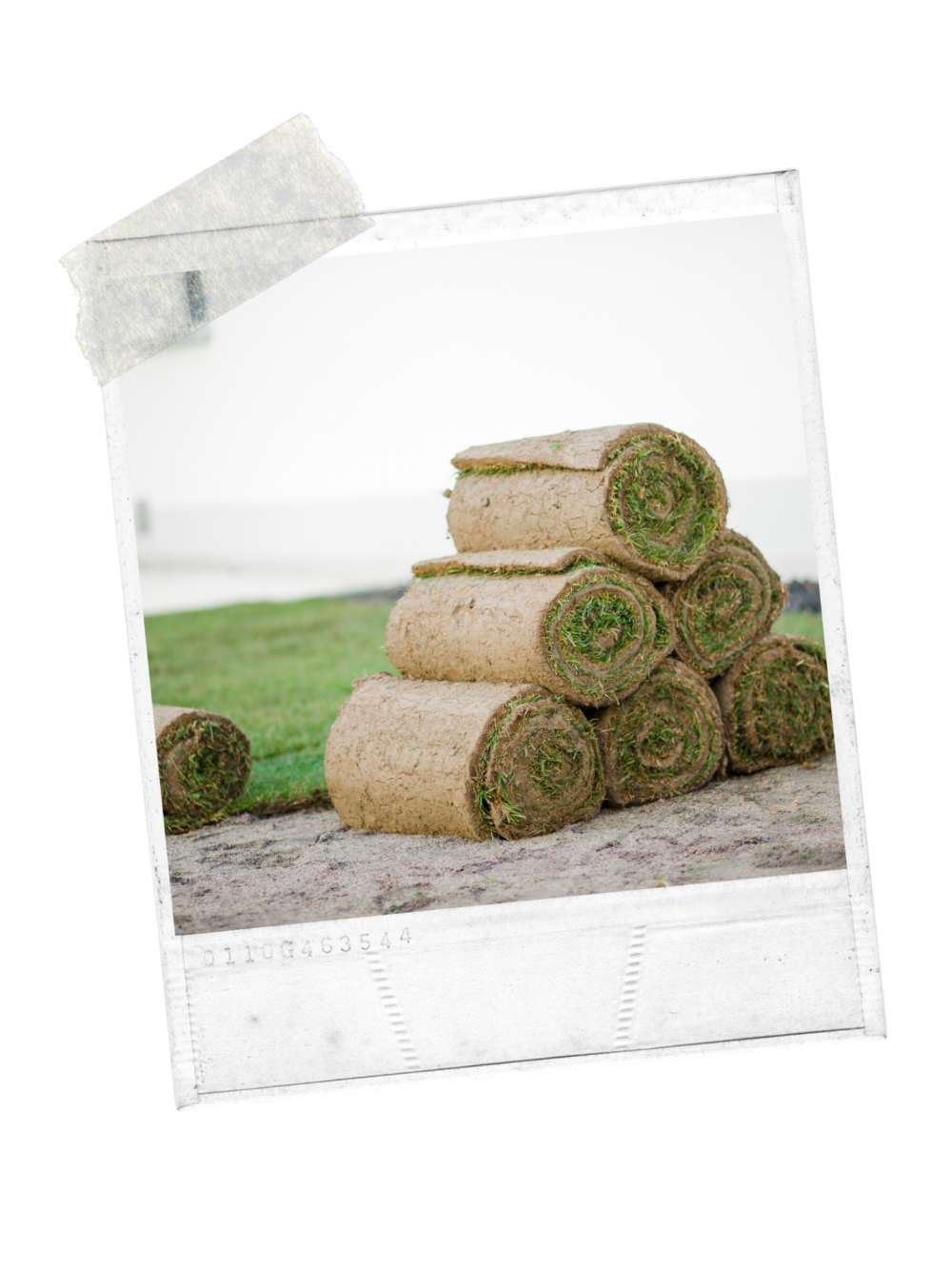 Abhollager | Rollrasen Kahl